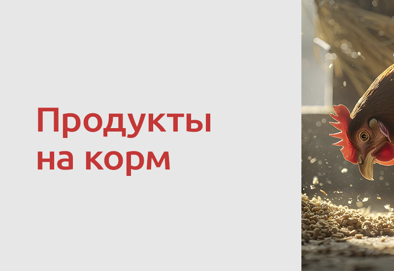 Некачественные продукты на корм: с 1 сентября – обязательная ветеринарная экспертиза